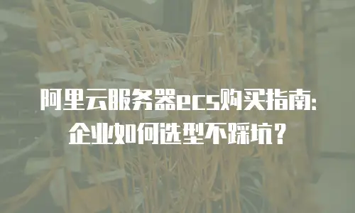 阿里云服务器ecs购买指南：企业如何选型不踩坑？
