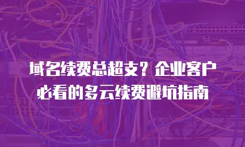 域名续费总超支？企业客户必看的多云续费避坑指南