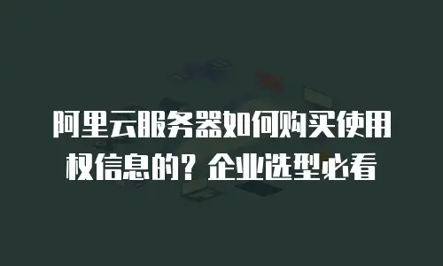 阿里云服务器如何购买使用权信息的？企业选型必看