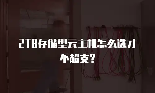 2TB存储型云主机怎么选才不超支？