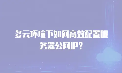 多云环境下如何高效配置服务器公网IP？