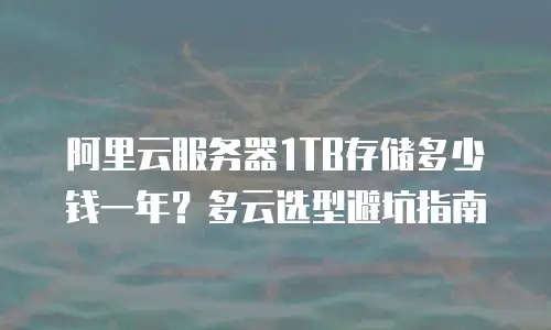 阿里云服务器1TB存储多少钱一年？多云选型避坑指南