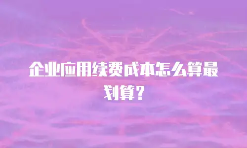 企业应用续费成本怎么算最划算？
