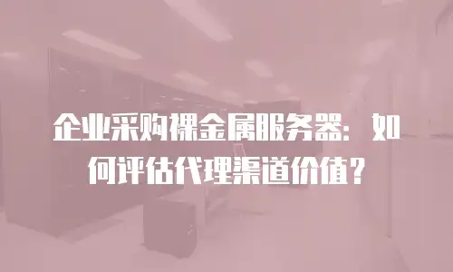 企业采购裸金属服务器：如何评估代理渠道价值？