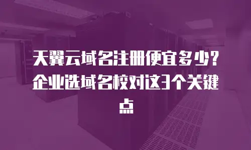 天翼云域名注册便宜多少？企业选域名校对这3个关键点