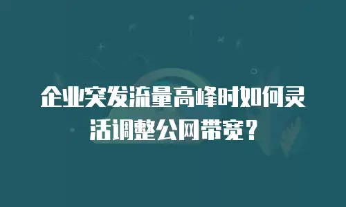 企业突发流量高峰时如何灵活调整公网带宽？