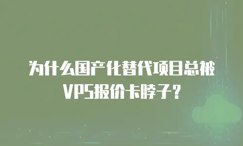 为什么国产化替代项目总被VPS报价卡脖子？