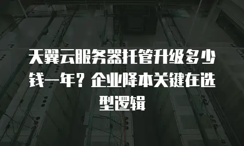 天翼云服务器托管升级多少钱一年？企业降本关键在选型逻辑