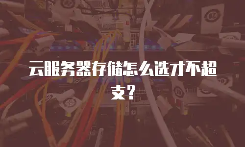 云服务器存储怎么选才不超支？
