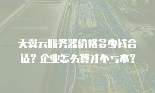 天翼云服务器价格多少钱合适？企业怎么算才不亏本？