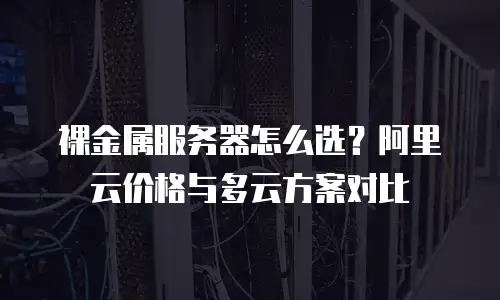 裸金属服务器怎么选？阿里云价格与多云方案对比
