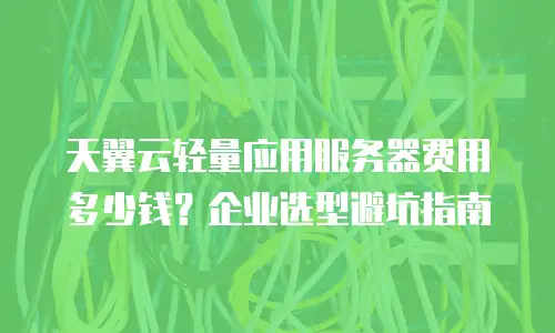 天翼云轻量应用服务器费用多少钱？企业选型避坑指南
