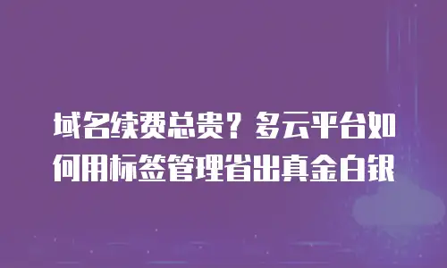 域名续费总贵？多云平台如何用标签管理省出真金白银