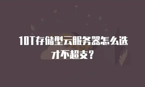 10T存储型云服务器怎么选才不超支？