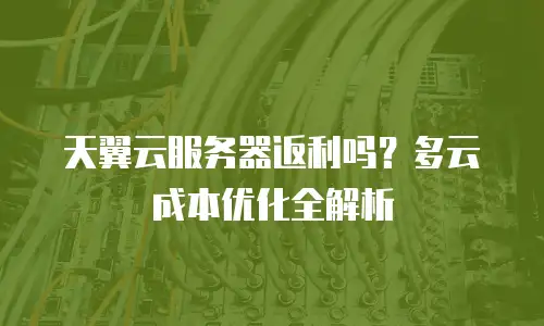 天翼云服务器返利吗？多云成本优化全解析