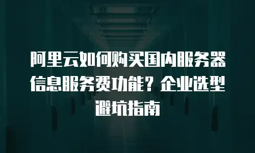 阿里云如何购买国内服务器信息服务费功能？企业选型避坑指南