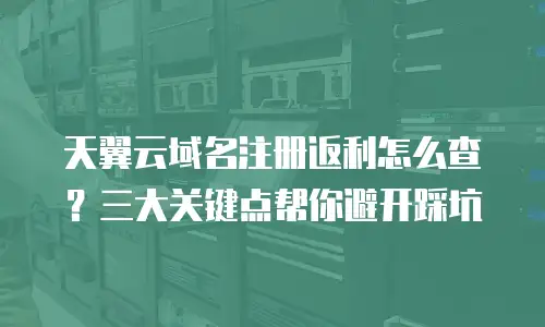 天翼云域名注册返利怎么查？三大关键点帮你避开踩坑