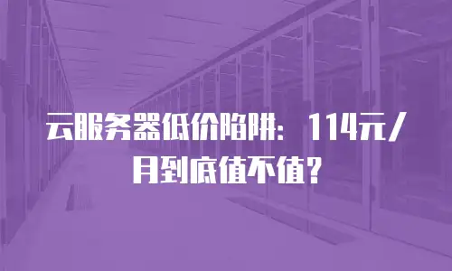 云服务器低价陷阱：114元/月到底值不值？