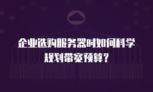 企业选购服务器时如何科学规划带宽预算？