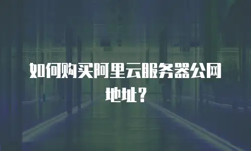 如何购买阿里云服务器公网地址？