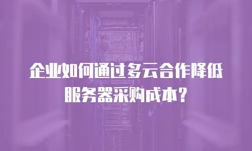 企业如何通过多云合作降低服务器采购成本？