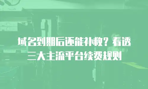 域名到期后还能补救？看透三大主流平台续费规则