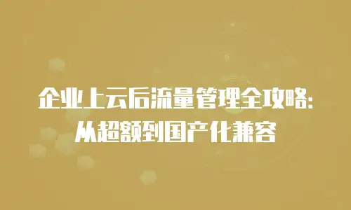 企业上云后流量管理全攻略：从超额到国产化兼容