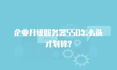 企业升级服务器SSD怎么选才划算？