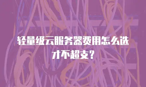 轻量级云服务器费用怎么选才不超支？
