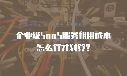 企业级SaaS服务租用成本怎么算才划算？
