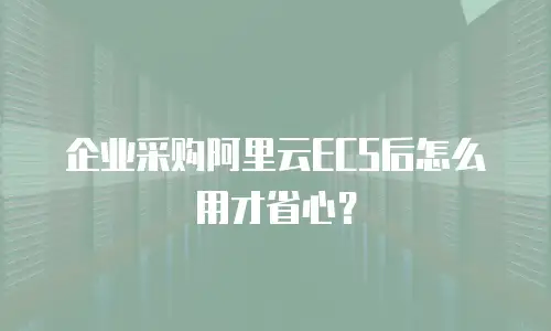 企业采购阿里云ECS后怎么用才省心？