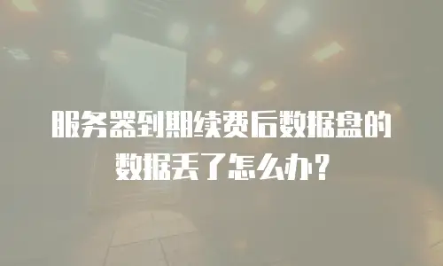 服务器到期续费后数据盘的数据丢了怎么办？