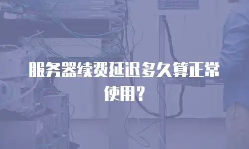 服务器续费延迟多久算正常使用？