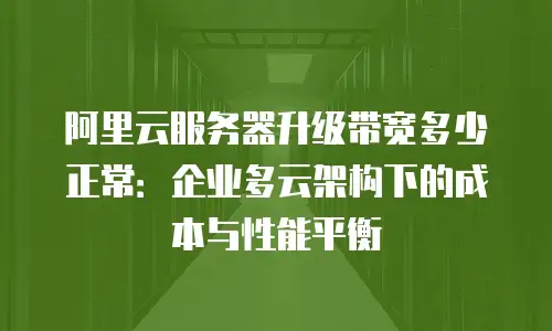 阿里云服务器升级带宽多少正常：企业多云架构下的成本与性能平衡
