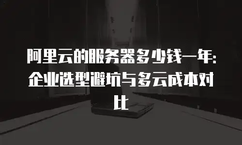阿里云的服务器多少钱一年：企业选型避坑与多云成本对比