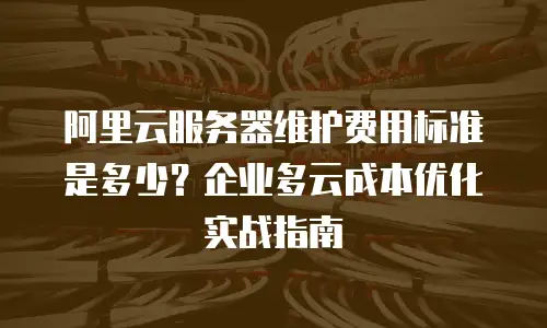 阿里云服务器维护费用标准是多少？企业多云成本优化实战指南