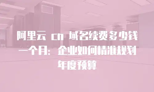阿里云 cn 域名续费多少钱一个月：企业如何精准规划年度预算
