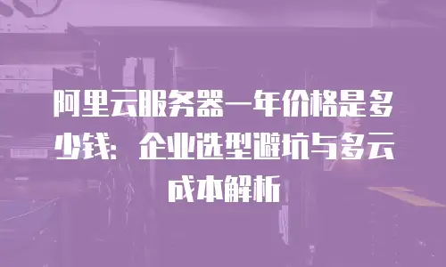 阿里云服务器一年价格是多少钱：企业选型避坑与多云成本解析