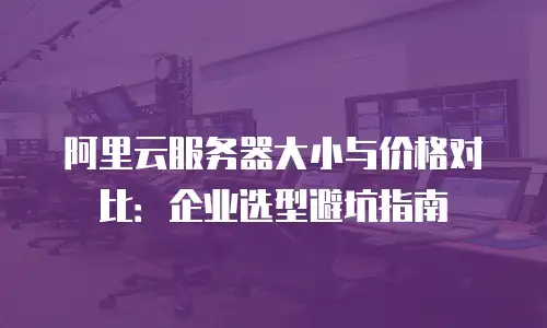 阿里云服务器大小与价格对比：企业选型避坑指南