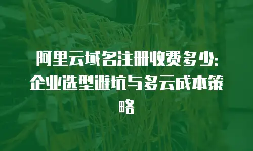 阿里云域名注册收费多少：企业选型避坑与多云成本策略