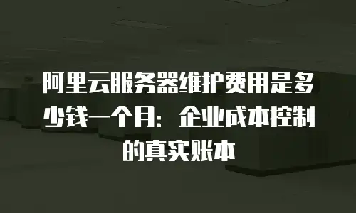 阿里云服务器维护费用是多少钱一个月：企业成本控制的真实账本