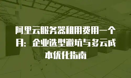 阿里云服务器租用费用一个月：企业选型避坑与多云成本优化指南