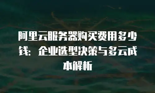 阿里云服务器购买费用多少钱：企业选型决策与多云成本解析