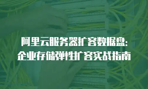 阿里云服务器扩容数据盘：企业存储弹性扩容实战指南