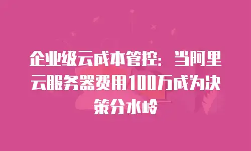 企业级云成本管控：当阿里云服务器费用100万成为决策分水岭