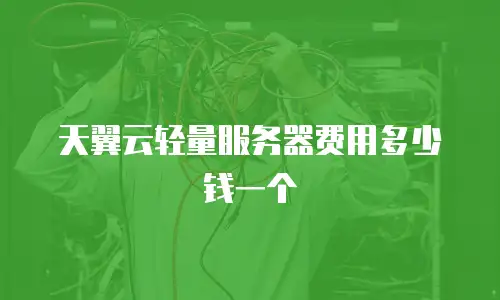 天翼云轻量服务器费用多少钱一个