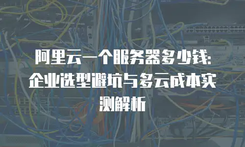 阿里云一个服务器多少钱：企业选型避坑与多云成本实测解析