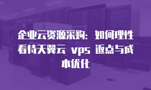 企业云资源采购：如何理性看待天翼云 vps 返点与成本优化