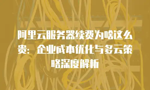 阿里云服务器续费为啥这么贵：企业成本优化与多云策略深度解析