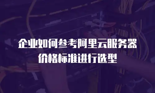 企业如何参考阿里云服务器价格标准进行选型